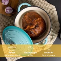 Chefarone Gietijzeren Pan - Braadpan Inclusief Deksel - Geschikt Voor Alle Warmtebronnen - Geëmailleerd Blauw 13 Chefarone Gietijzeren Pan - Braadpan Inclusief Deksel - Geschikt Voor Alle Warmtebronnen - Geëmailleerd Blauw -Woonkeuken Winkel 1200x1200 304