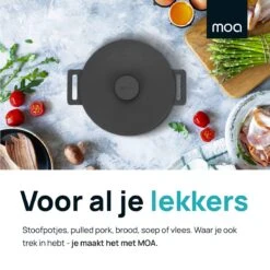 MOA Gietijzeren Braadpan - Inhoud 7,1 Liter - 29CM - Rond - Alle Warmtebronnen - Ook Voor Inductie - Gewicht 7,6 Kg - Zwart - MC29B 13 MOA Gietijzeren Braadpan - Inhoud 7,1 Liter - 29CM - Rond - Alle Warmtebronnen - Ook Voor Inductie - Gewicht 7,6 Kg - Zwart - MC29B -Woonkeuken Winkel 1200x1200 366