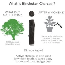 Black + Blum Binchotan Active Charcoal For Eau Good Water Bottles 4-pack 14 Black + Blum Binchotan Active Charcoal For Eau Good Water Bottles 4-pack -Woonkeuken Winkel 1200x1200 725