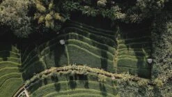 Sola Bestekset Bali - Modern - 9 Persoons - 90 Delig - Zilverwit Edelstaal 18/10 - RVS - Zilver 10 Sola Bestekset Bali - Modern - 9 Persoons - 90 Delig - Zilverwit Edelstaal 18/10 - RVS - Zilver -Woonkeuken Winkel 1200x675 15