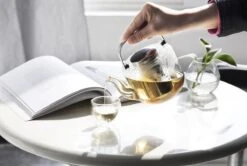 Viva Scandinavia Bjorn Theepot - Glas - Met Filter - 1,2 L - Transparant 19 Viva Scandinavia Bjorn Theepot - Glas - Met Filter - 1,2 L - Transparant -Woonkeuken Winkel 1200x807 2