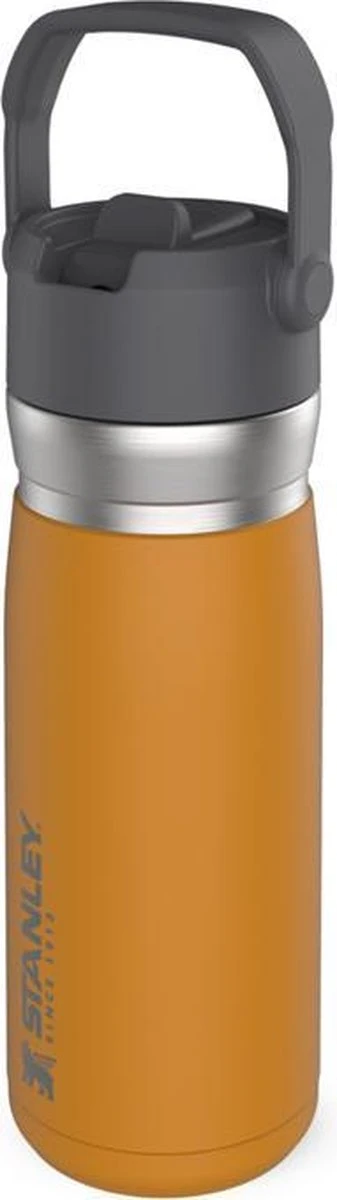 Stanley The IceFlow™ Flip Straw Water Bottle 0,65L - Thermosfles - Saffron 4 Stanley The IceFlow™ Flip Straw Water Bottle 0,65L - Thermosfles - Saffron - Afbeelding 2