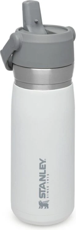 Stanley The IceFlow™ Flip Straw Water Bottle 0,65L - Thermosfles - Lagoon -Woonkeuken Winkel 396x1200 1