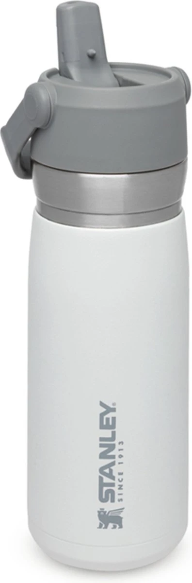 Stanley The IceFlow™ Flip Straw Water Bottle 0,65L - Thermosfles - Saffron 18 Stanley The IceFlow™ Flip Straw Water Bottle 0,65L - Thermosfles - Saffron - Afbeelding 16